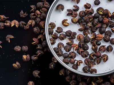 Timut Pepper (Zanthoxylum&nbsp;armatum)