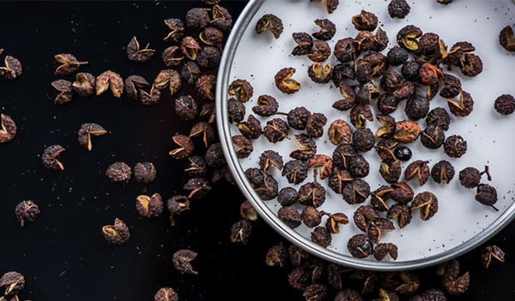 Timut Pepper (Zanthoxylum&nbsp;armatum)